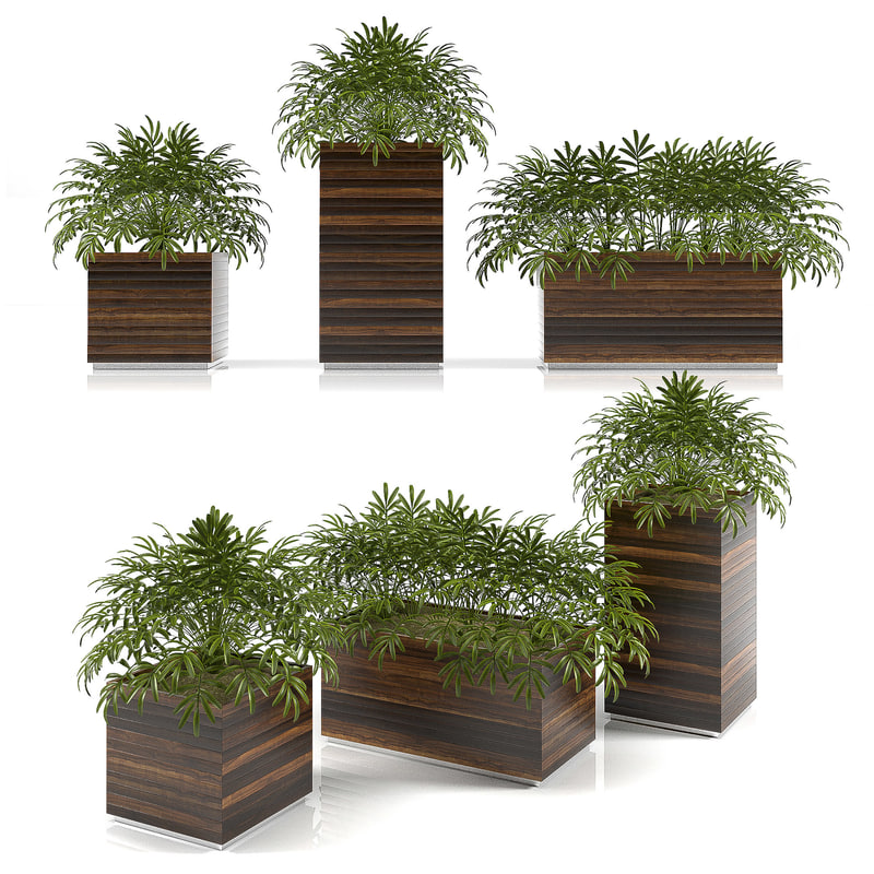 3d planter box plants model