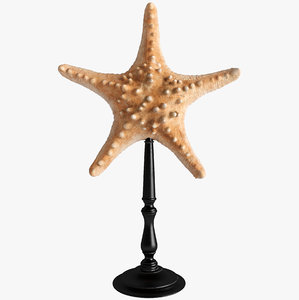 3d model sea stars starfish stand