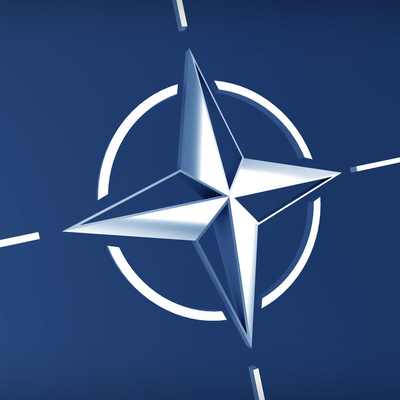 max nato logo symbol