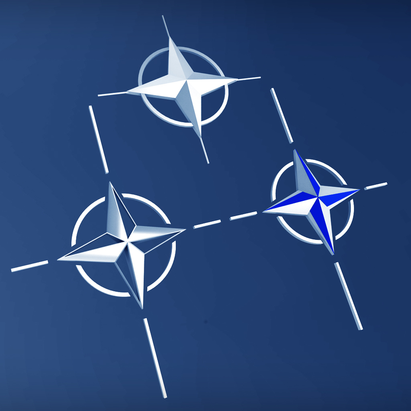 max nato logo symbol