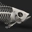 fish skeleton 3d obj