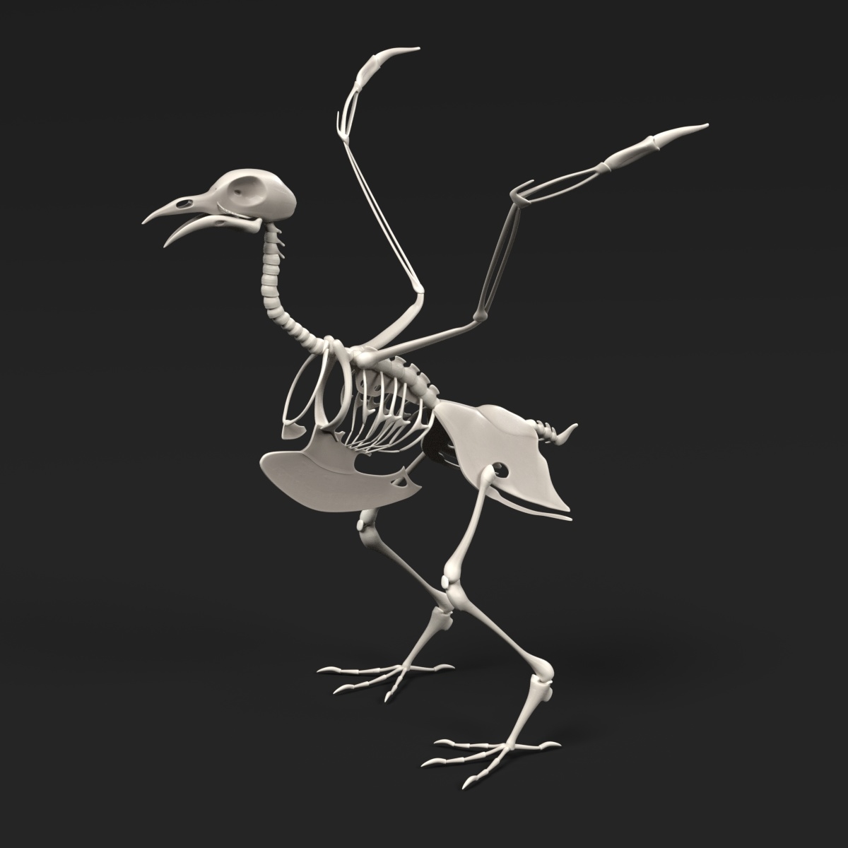 3d model animal skeletons