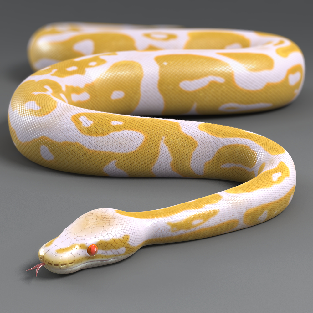 albino python toy