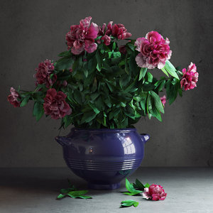 3d potted peonies model