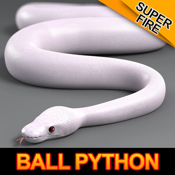 Super Ball Python 3d Max