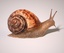 snail rig 3d max