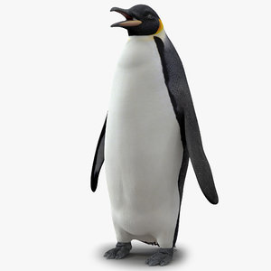 3d model penguin