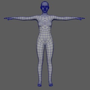 3D Reference Models | TurboSquid