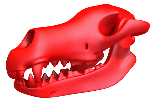 print-ready dog skull printing 3d model