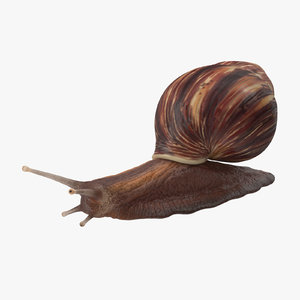 snail grove 3d c4d