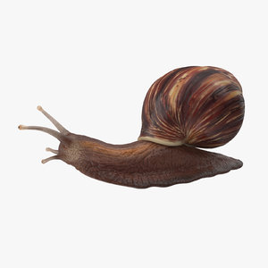 3d snail 02
