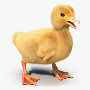 duckling rigged 3d max