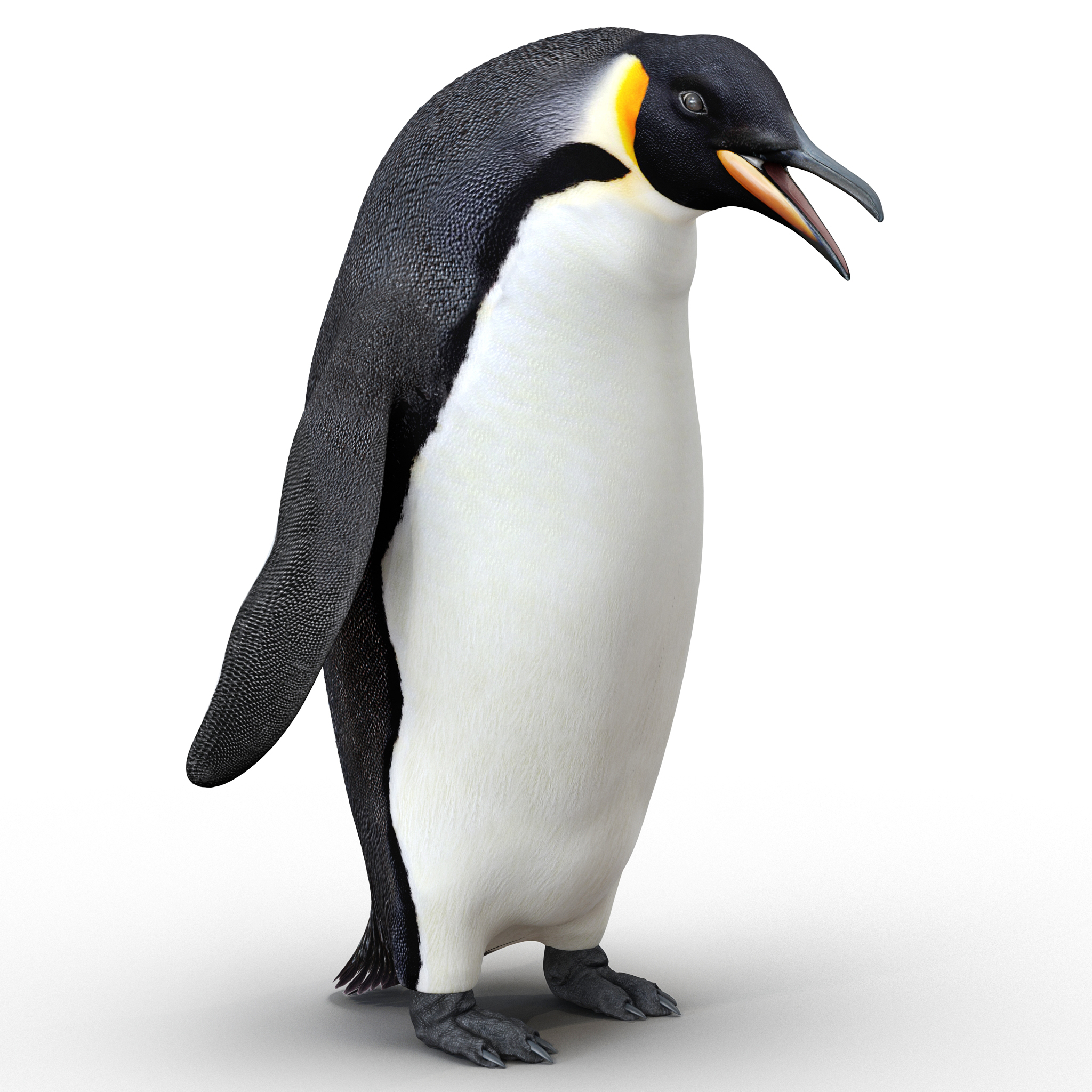 Императорский Пингвин 3d