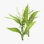 carnation lily hydrangeas peony max