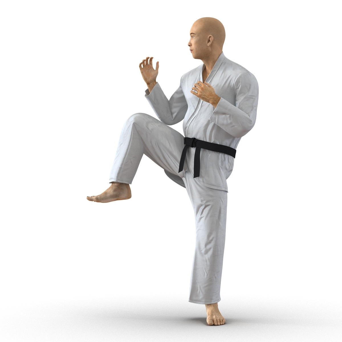 japanese karate fighter pose 3d 3ds