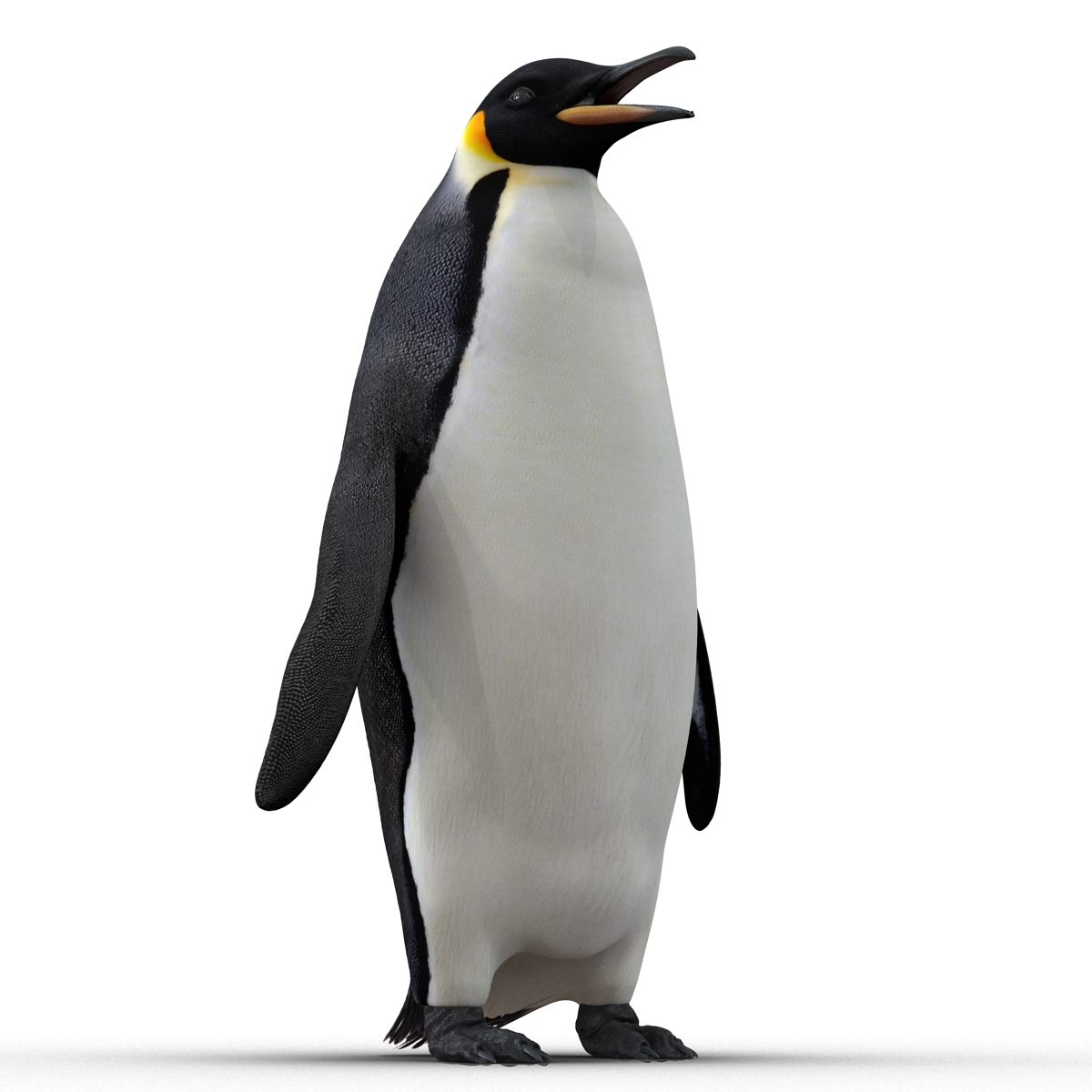 皇帝企鹅索具3d模型