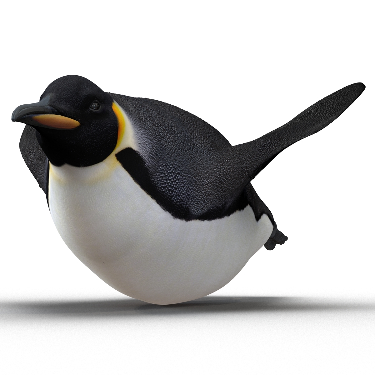 3d emperor penguin rigged