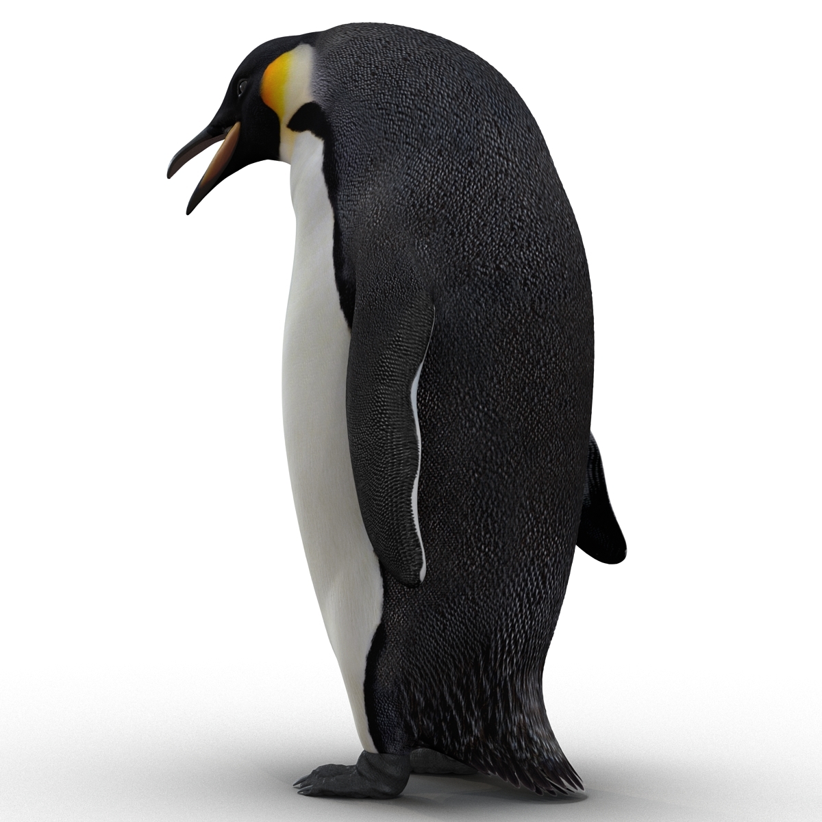3d emperor penguin rigged