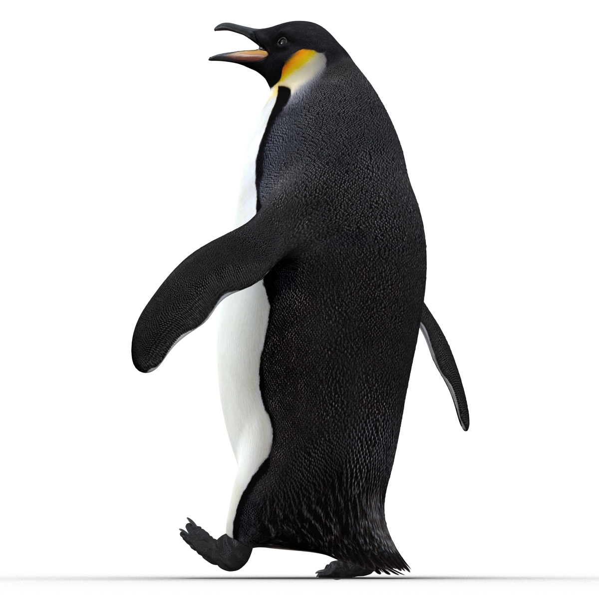 3d emperor penguin rigged