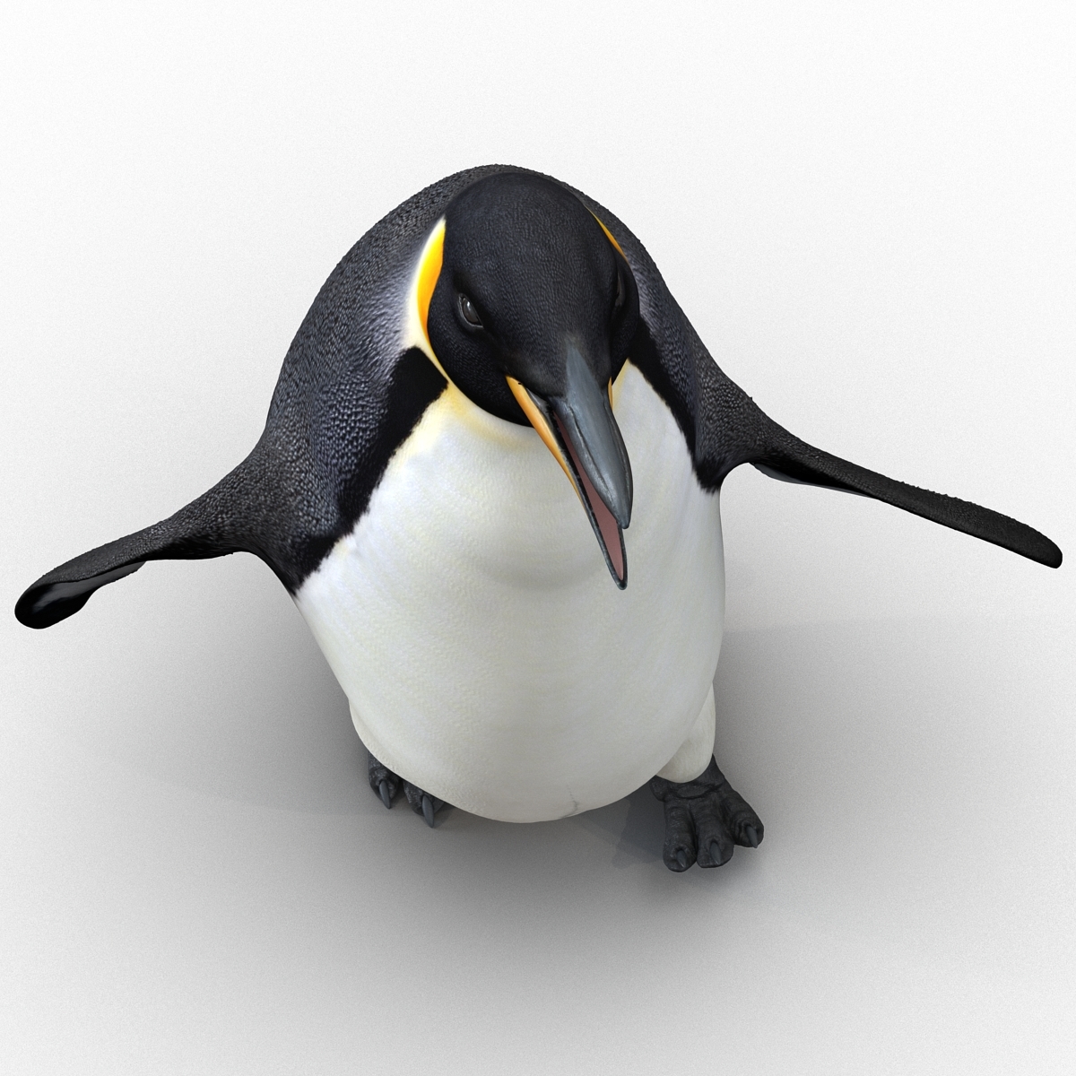 皇帝企鹅索具3d模型