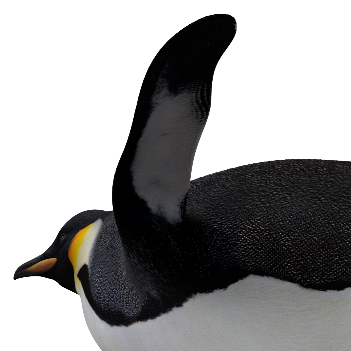 3d emperor penguin rigged