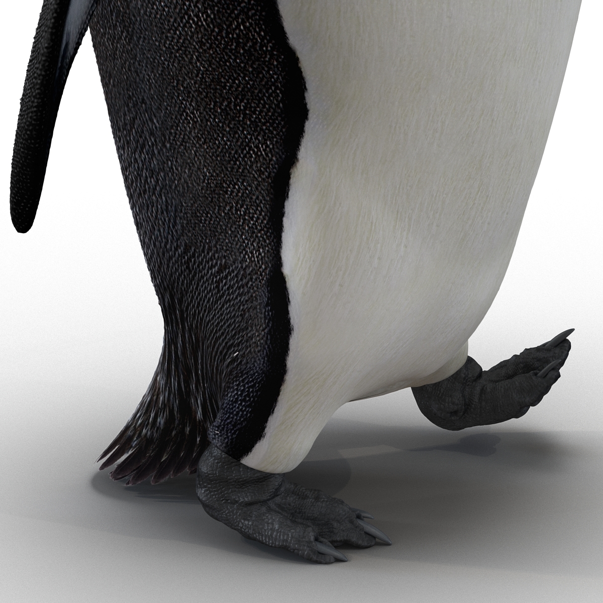 3d emperor penguin rigged