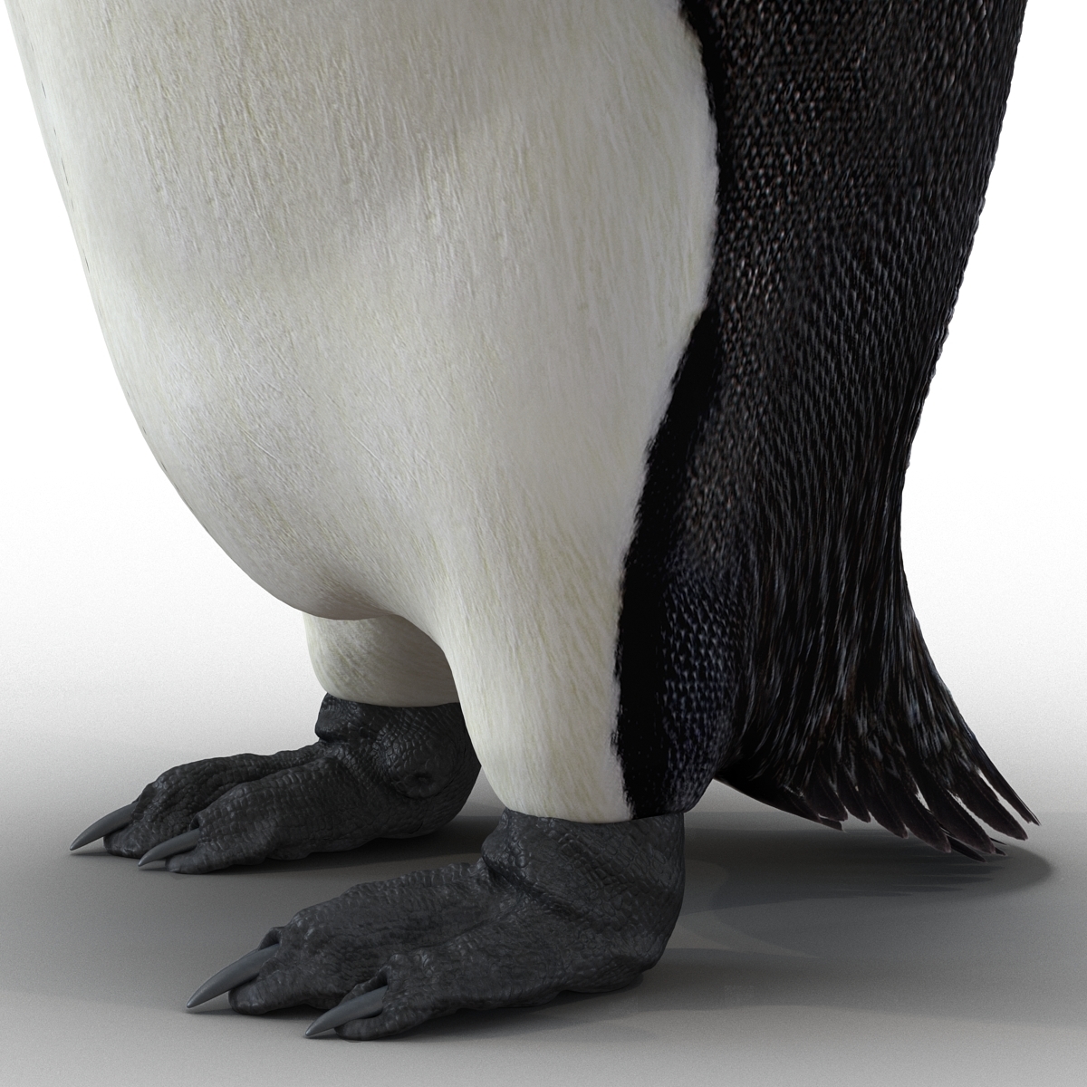 3d emperor penguin rigged