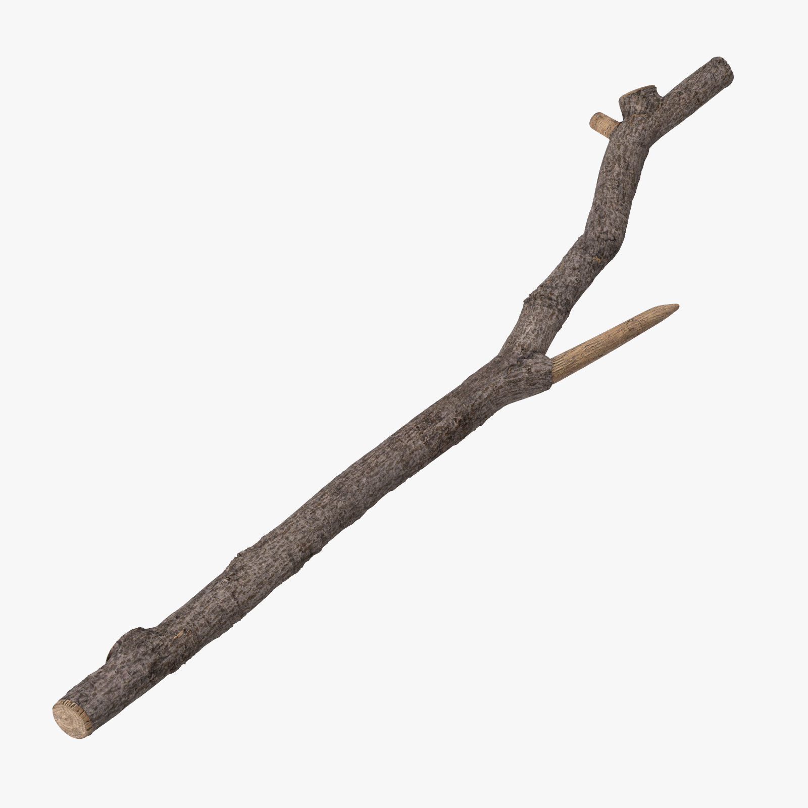 twigs sticks 3d max