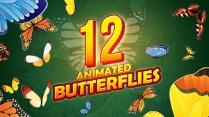 animations butterfly fbx