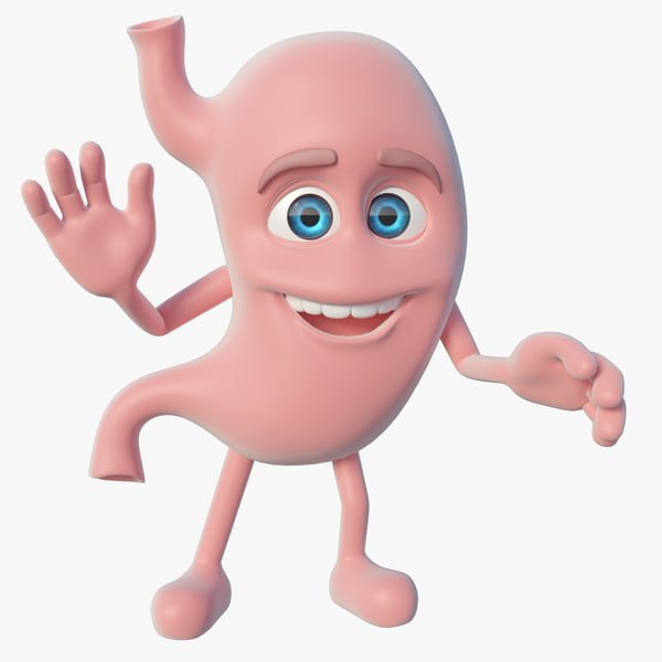 装配的3d胃模型