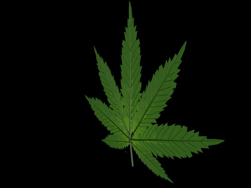  pot  leaf  3d  3ds