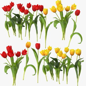 tulips 3d model