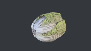 3d cabbage model