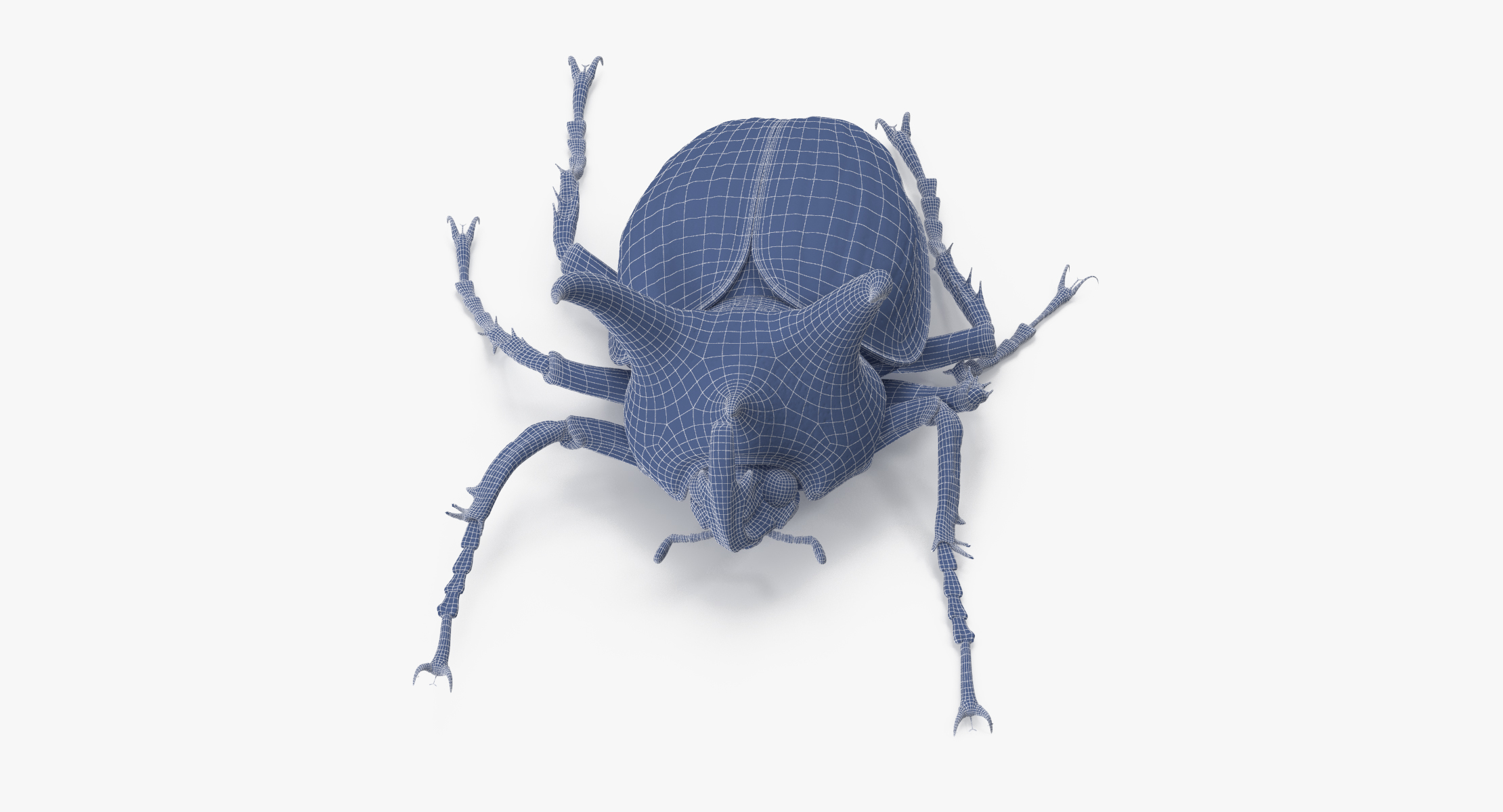 3d rhinoceros beetle poses model