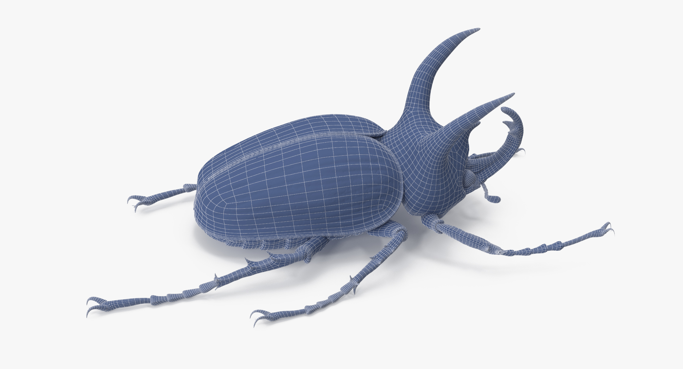 rhinoceros beetle pose 013d模型