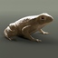 toad bufo 3d model