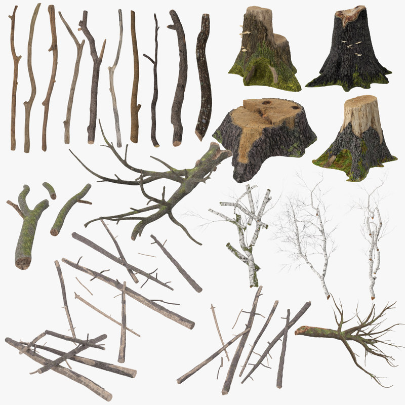 twigs sticks stumps log max