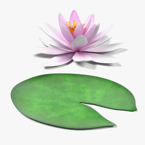 water lily 3d 3ds