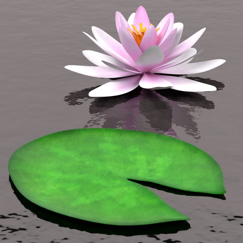 water lily 3d 3ds