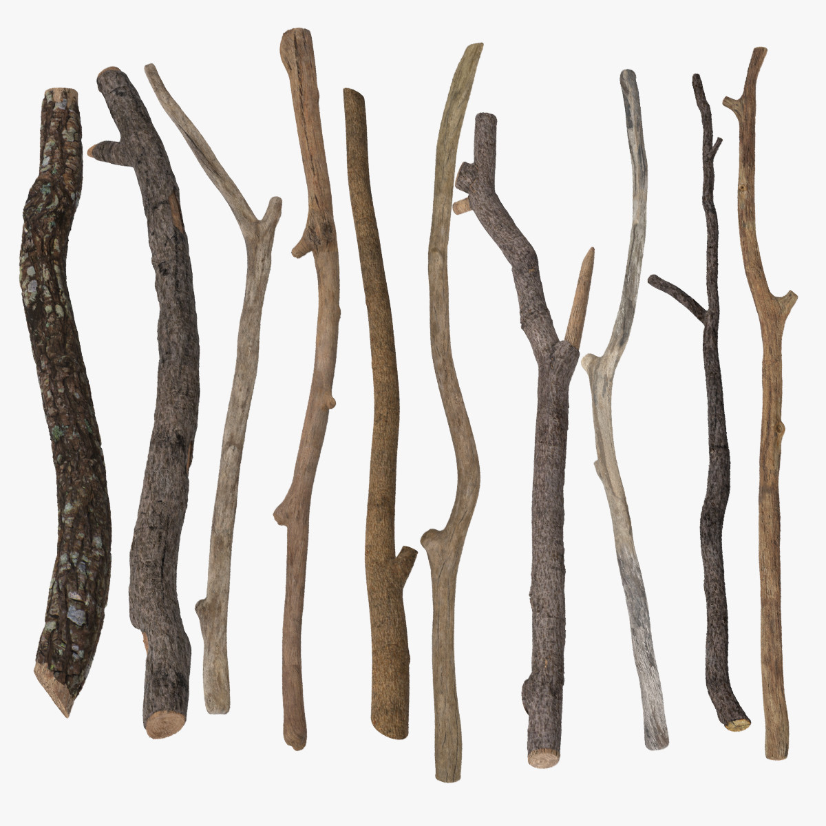 Twigs Sticks 3d Max