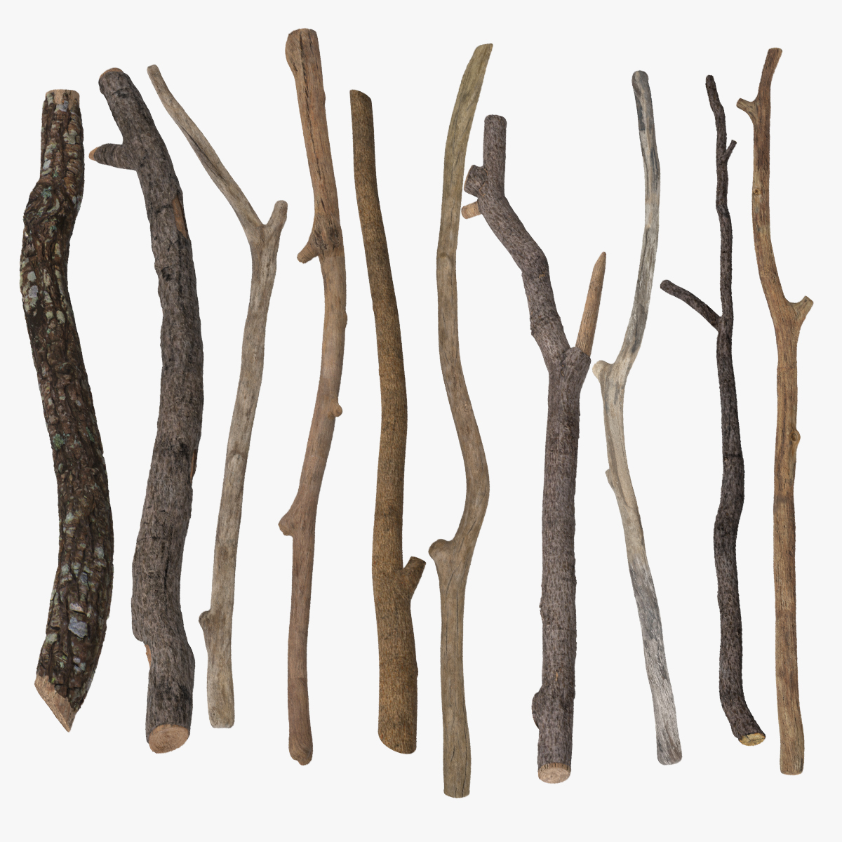 twigs-sticks-3d-max