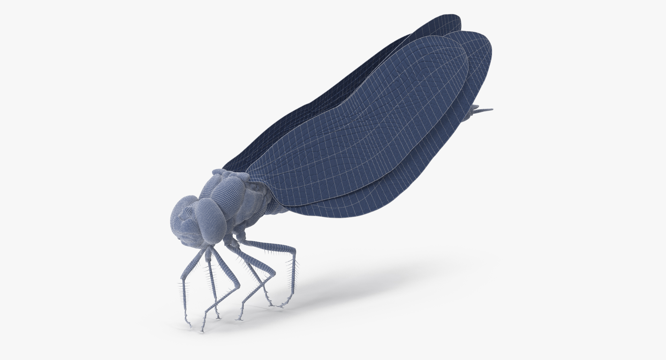 dragonfly pose 03 3d model