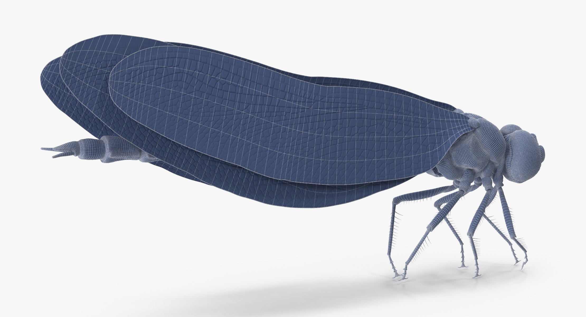 dragonfly pose 03 3d model