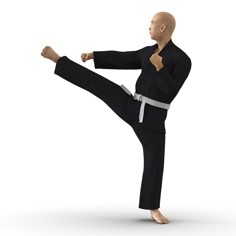 Max Japanese Karate Fighter Black