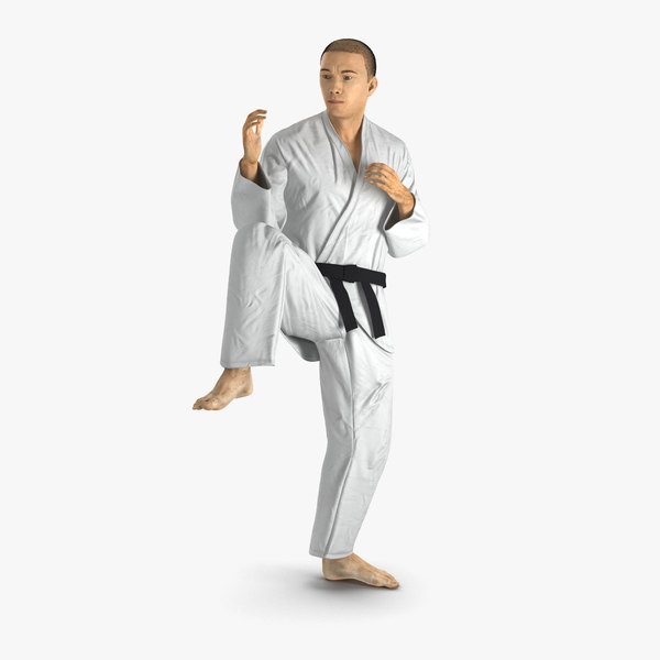 japanese karate fighter pose 3d max