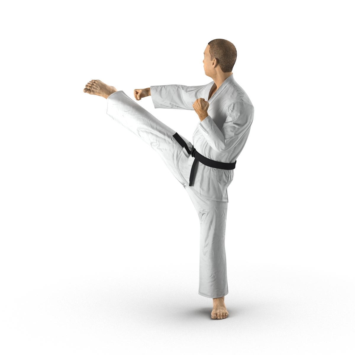 3d model japanese karate fighter pose