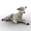 3d model lamb pose 4 fur