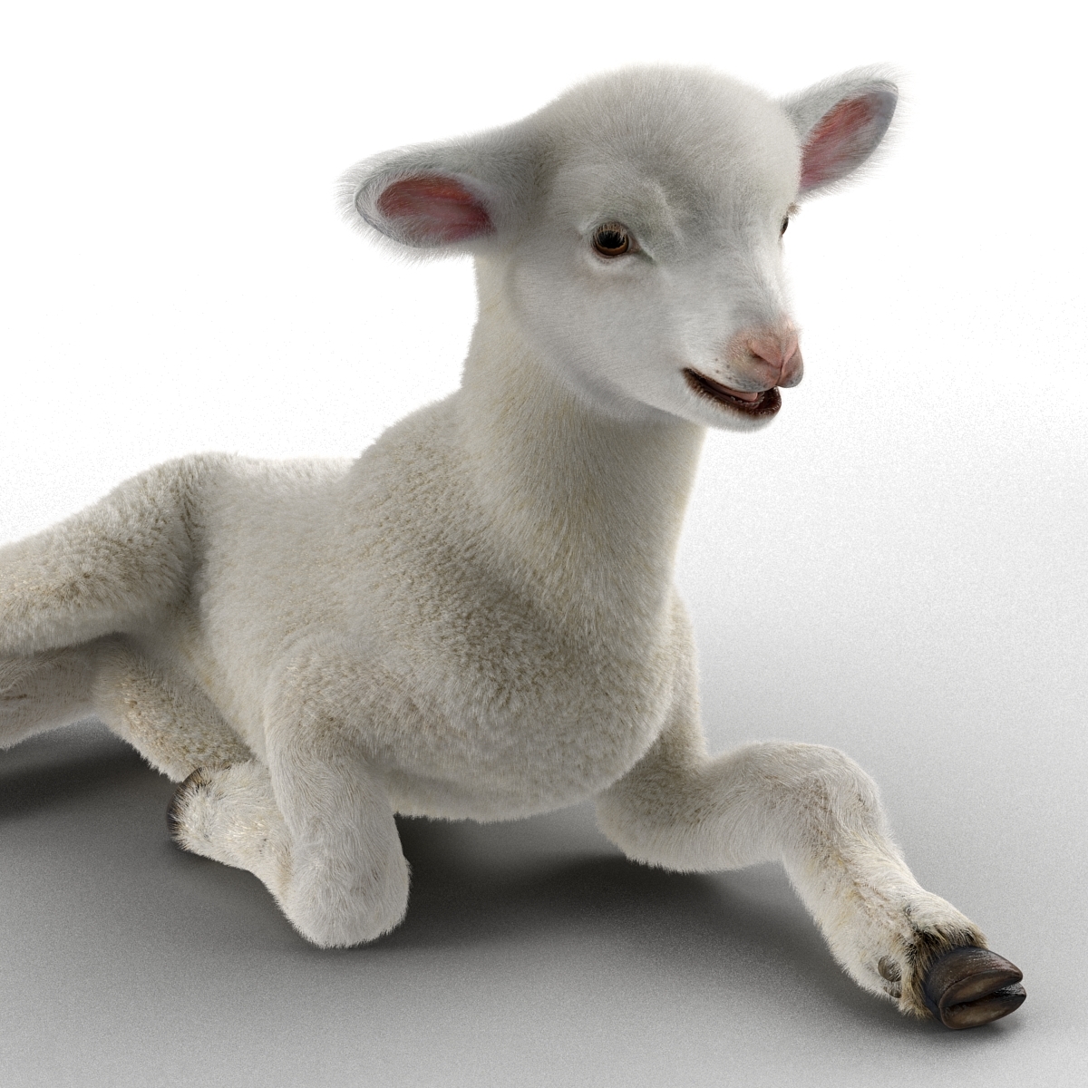 3d model lamb pose 4 fur