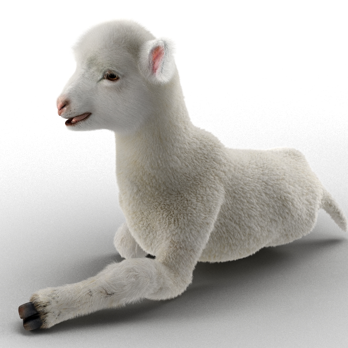 3d model lamb pose 4 fur