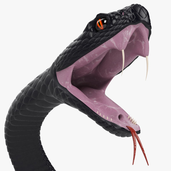 viper snake scale max